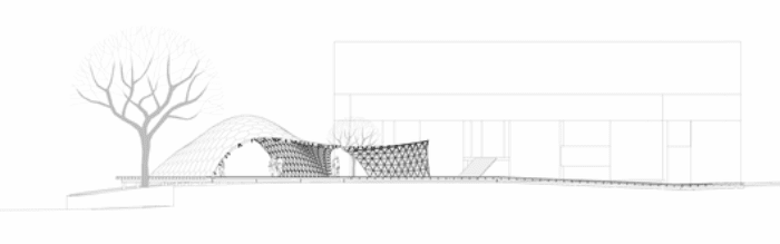 section