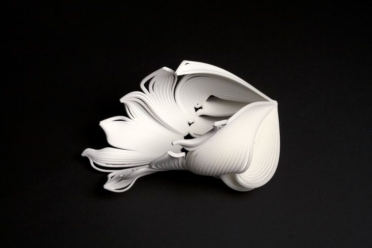 1449217784 GMYERWe4jSs