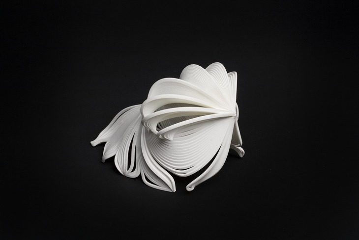 1449217785 tbH1pKTDL0h