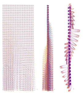 biothing scriptiiiine 6