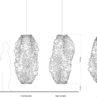 Chrysalis (III)