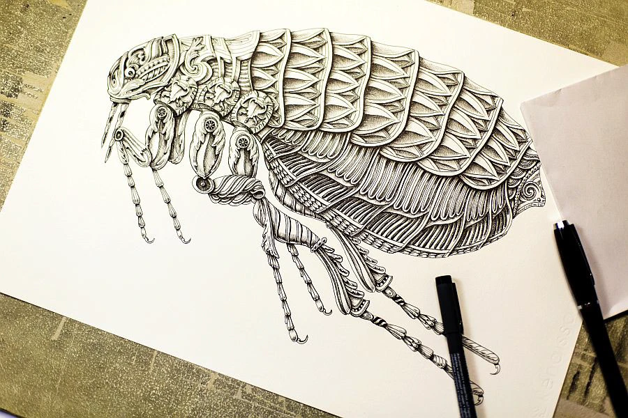 1bc9e354103215.594d0f21f1de7