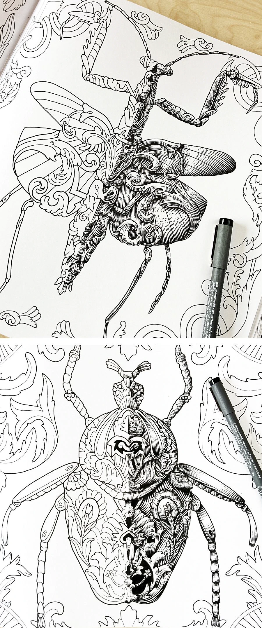 18603754103215.594d10bdaaf38 (1)