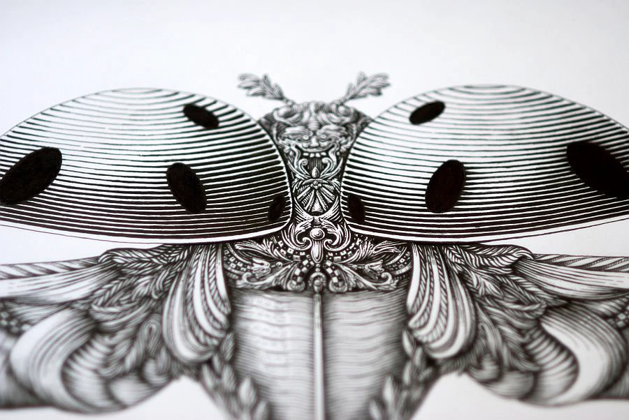 41516454103215.594d0a01f2397