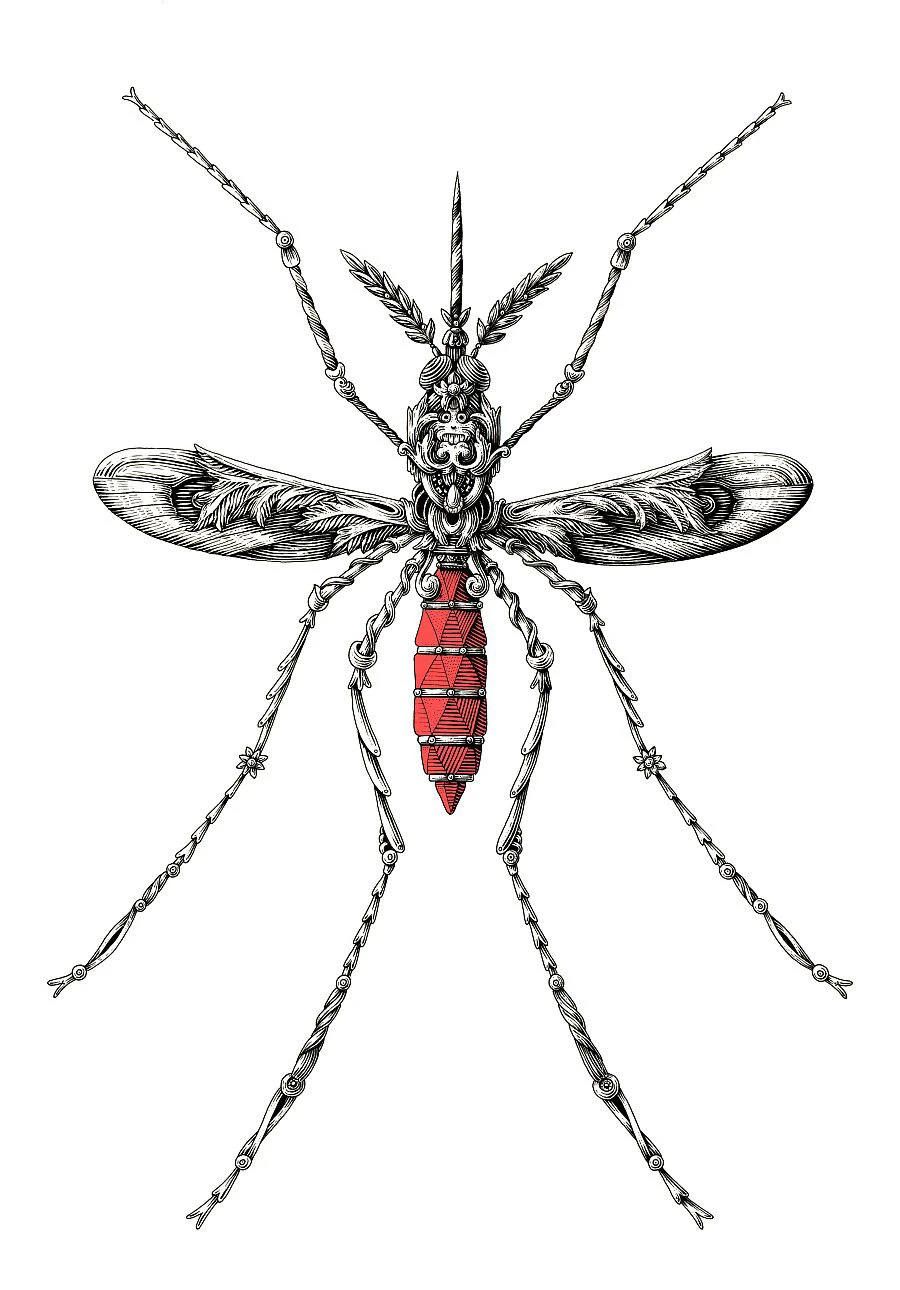 3c09d154103215.594d0ca903d2e