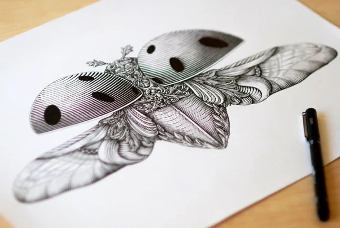 5a48f454103215.594d0a01f14c9