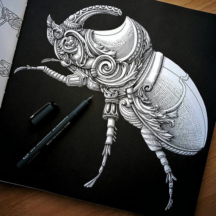 55f1df54103215.594d10bda9aa8