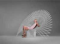 Peacock Chair7