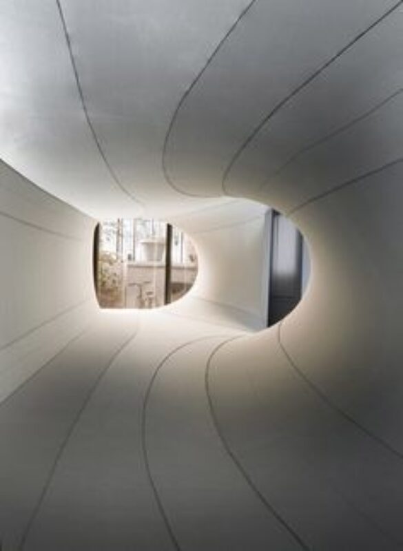 Suspense in Elasticity | Sophia Chang