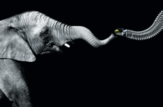 Bionic arm