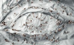 New York City Ballet Art Series