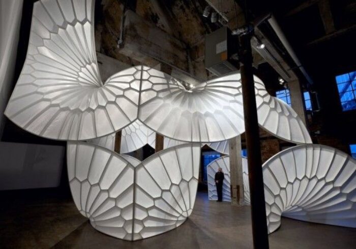 A History of Aviation | David Henderson