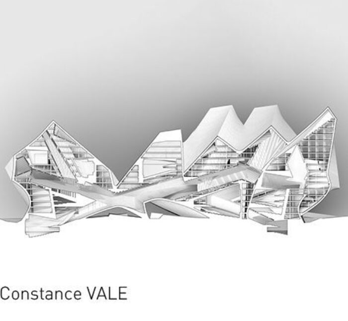 Incongruous Monolith | Constance Vale