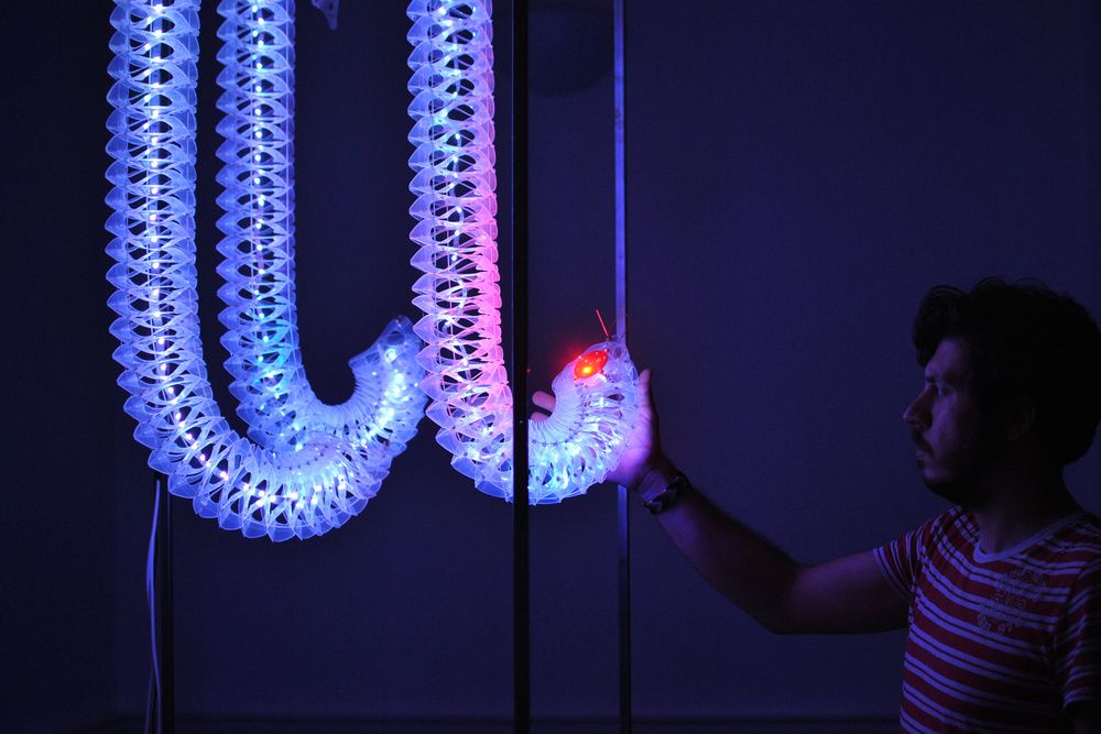 Petting zoo Frac centre