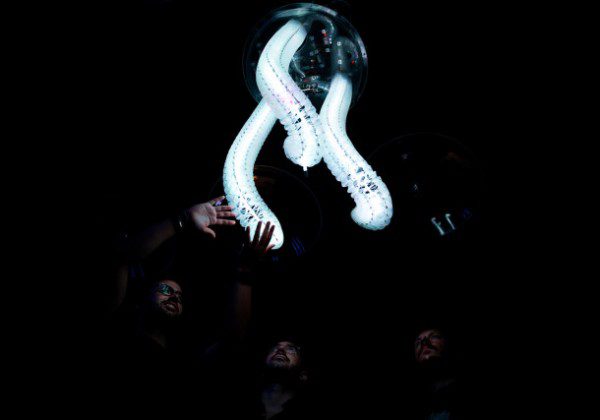 Petting zoo Frac centre