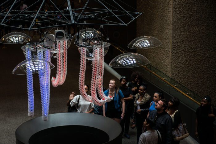 Petting zoo Frac centre