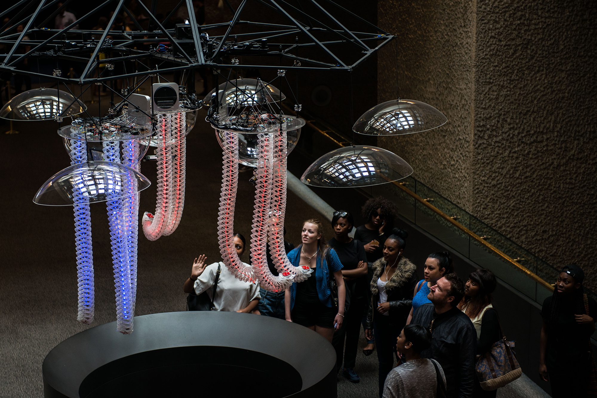 Petting zoo Frac centre