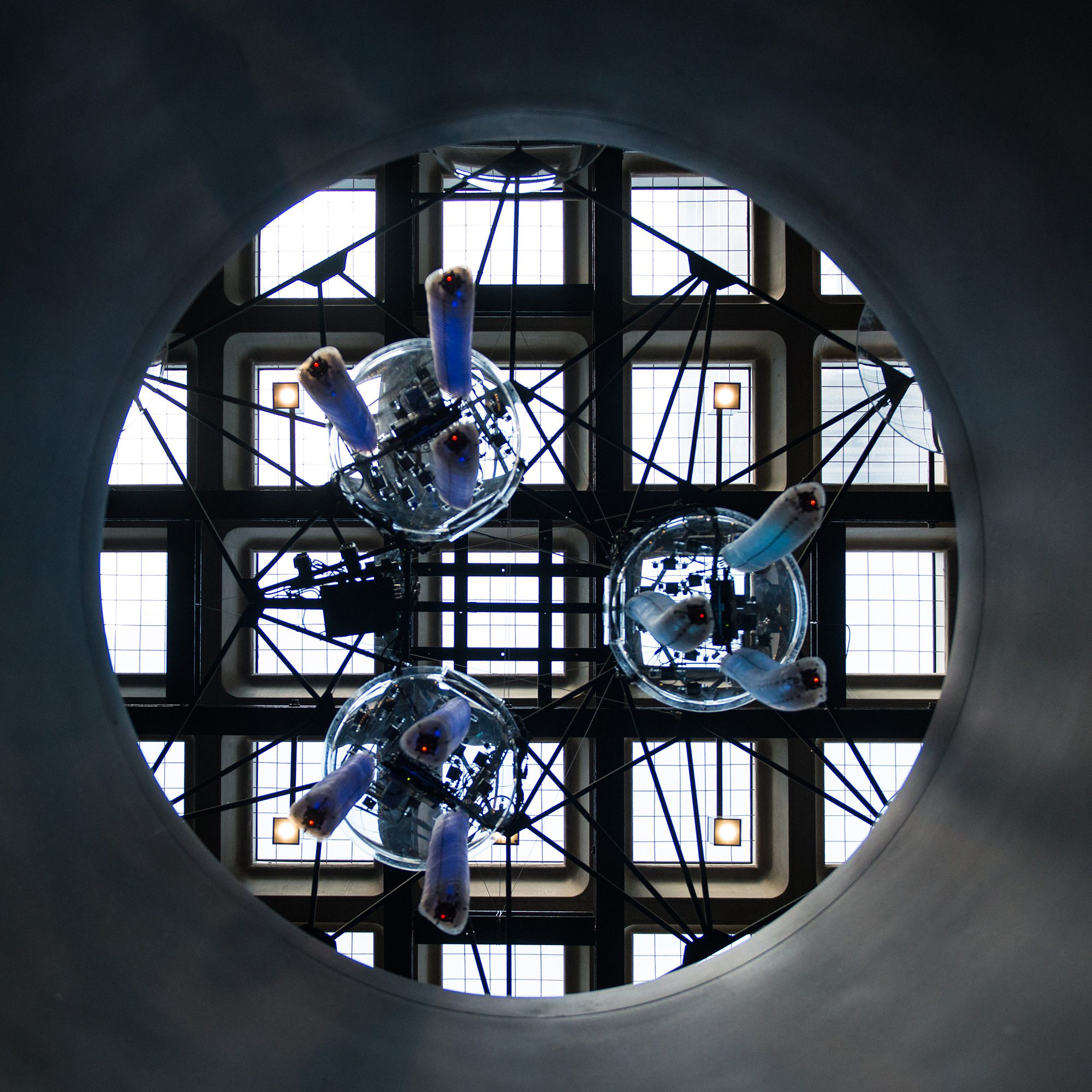 Petting zoo Frac centre