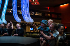 Petting zoo Frac centre