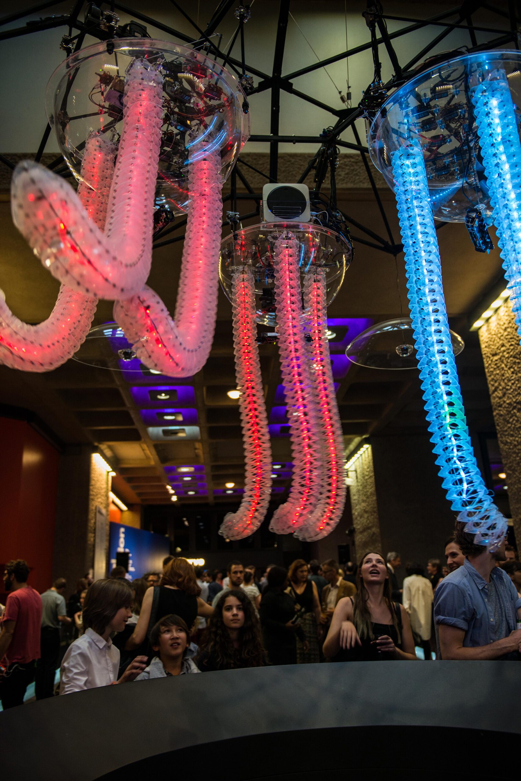 Petting zoo Frac centre