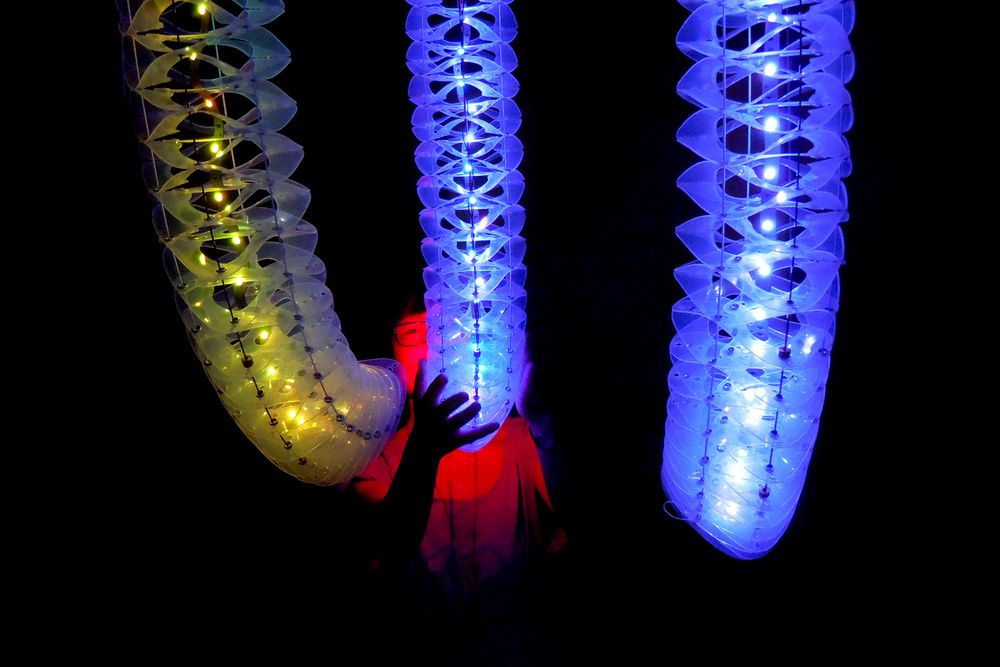 Petting zoo Frac centre