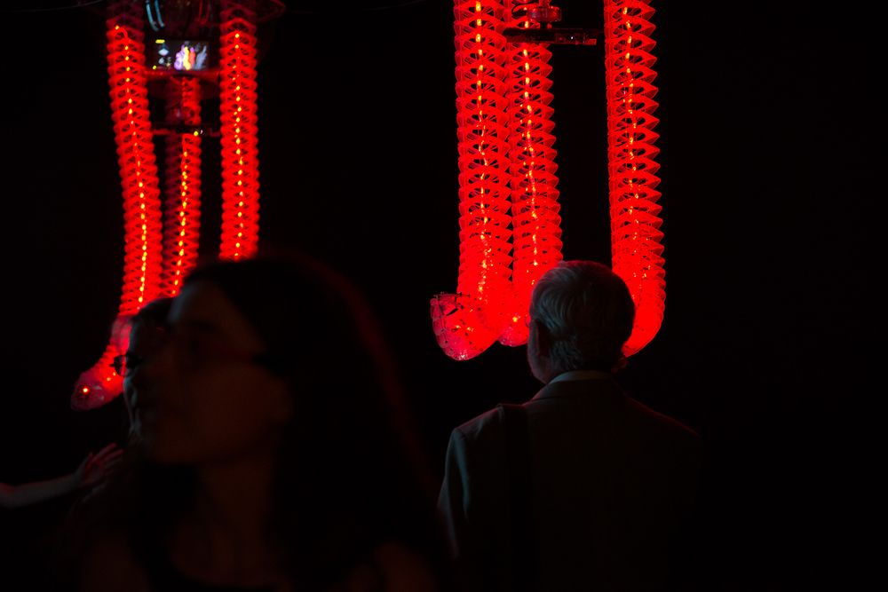 Petting zoo Frac centre