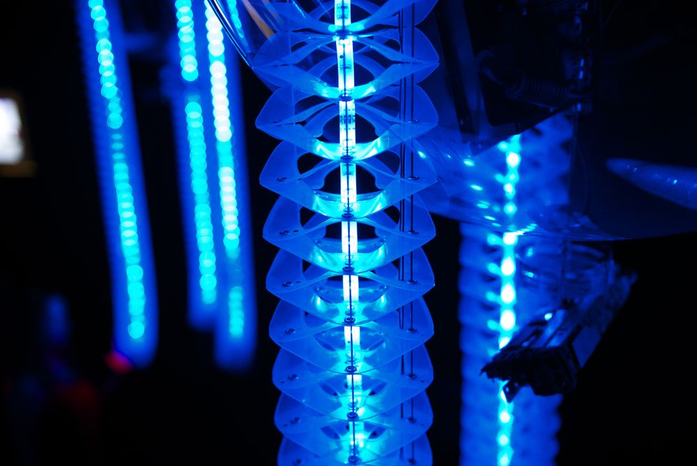 Petting zoo Frac centre