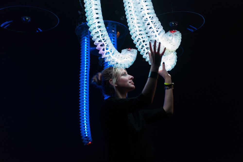 Petting zoo Frac centre