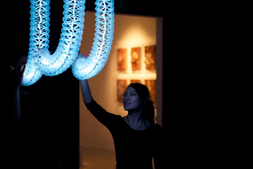 Petting zoo Frac centre