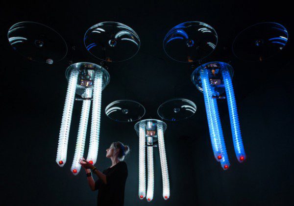 Petting zoo Frac centre