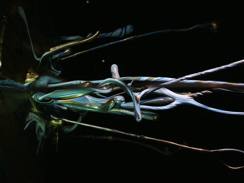 The Sound of ikebana