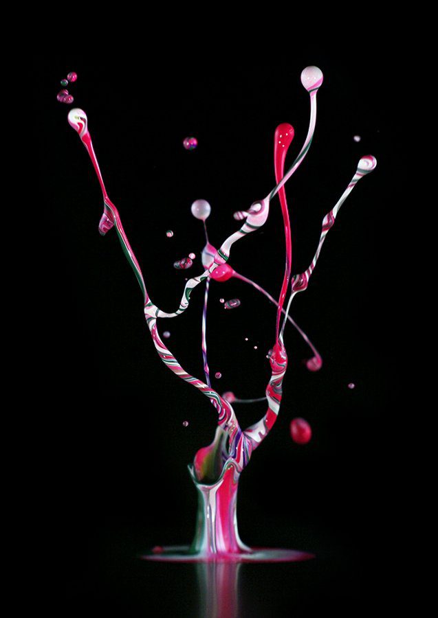 The Sound of ikebana