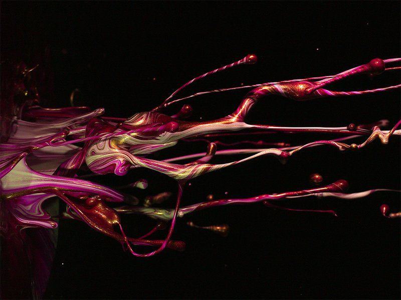 The Sound of ikebana