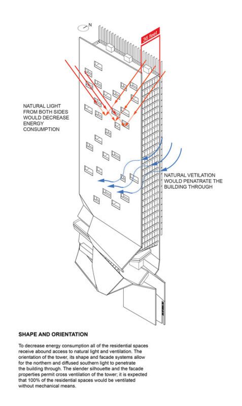 11 SHAPE AND ORIENTATION