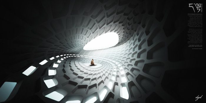 PERFORMANCE RE-IMAGINED