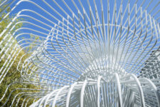 The Infrastructure Series | Vivian Beer