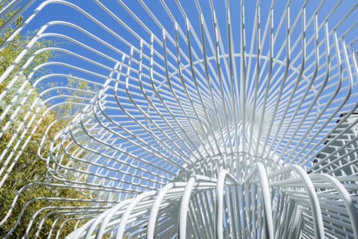 La cage aux folles | Warren Techentin Architecture