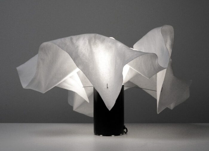 Misha series | Taeg Nishimoto