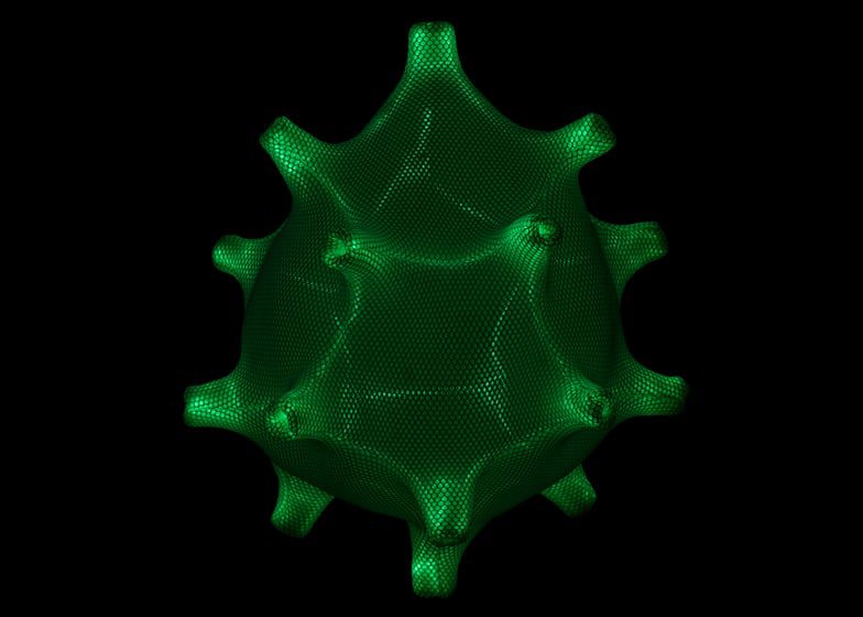 Radiolaria by Bernotat and Co dezeen ss3