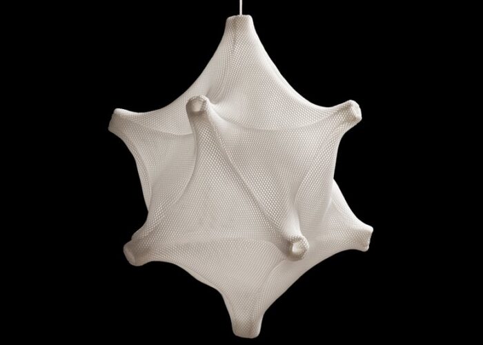 Radiolaria by Bernotat and Co dezeen ss1