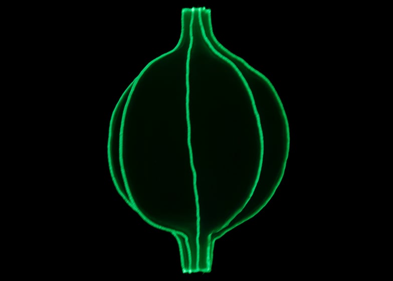 Radiolaria by Bernotat and Co dezeen ss14