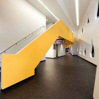 Punt Road Oval Redevelopment