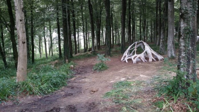 AA Summer DLAB 2014 : CALLIPOD