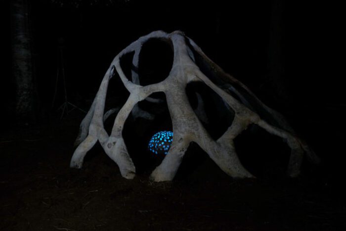 SummerDLAB2014 016 SummerDLAB2014 016