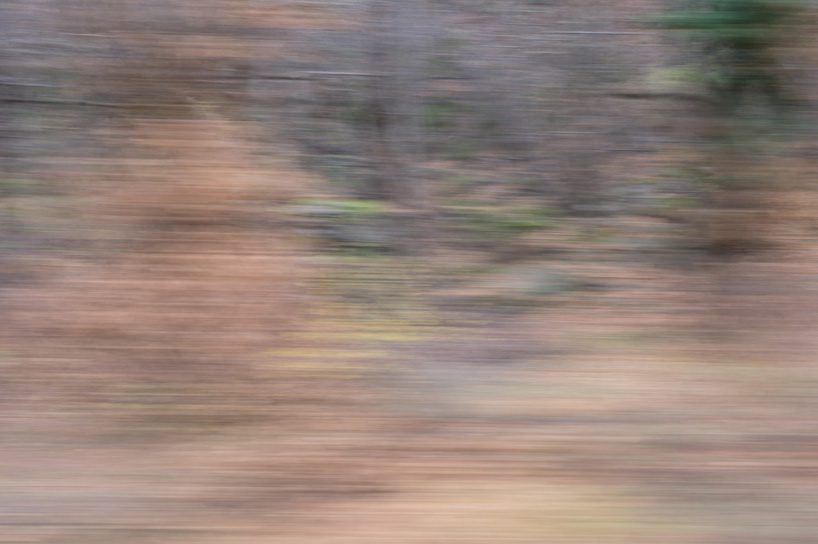 rolf sachs camera in motion designboom 16