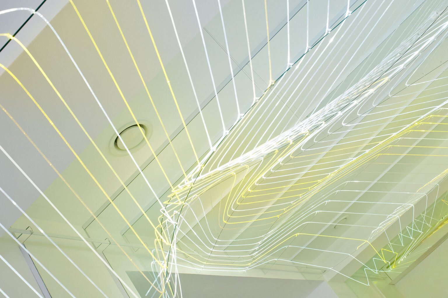 Intern | Next Level Studio - Arch2O.com