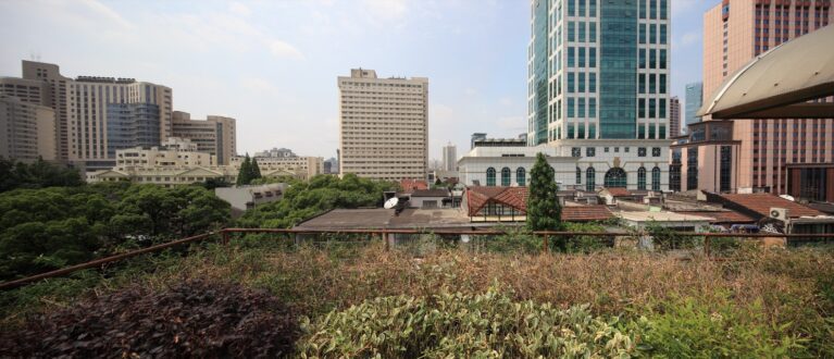 Wulumuqi Road Roof House | SKEW Collaborative