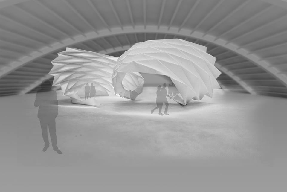 1.1219.1422509567.544922 774038145991168 8258695101176680523 n