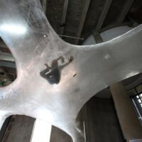 Tape Paris Installation