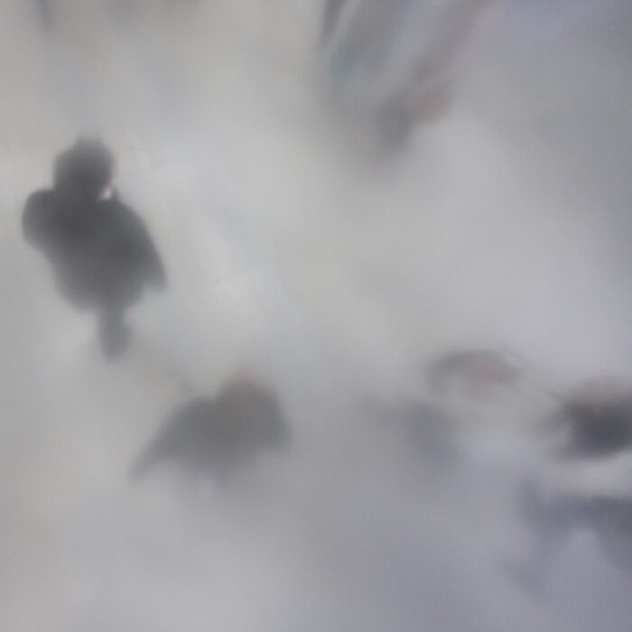 Tape Paris Installation